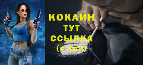 стаф Армянск