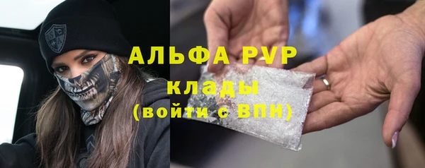 амф Аркадак