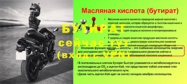 молекула духа Снежногорск