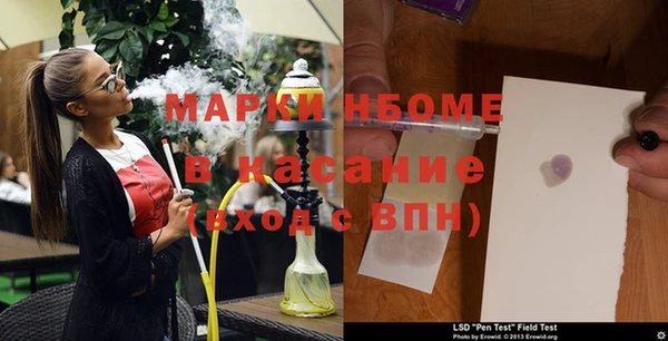 амф Аркадак