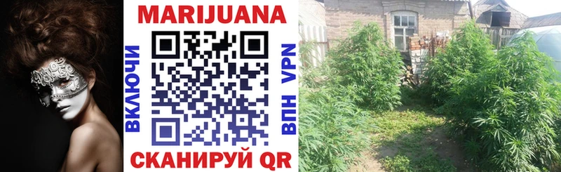 Шишки марихуана White Widow  Зерноград 